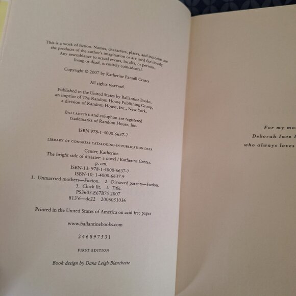 BRIGHT SIDE OF DISASTER - Picture 3 of 4